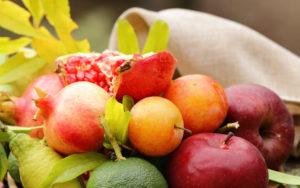 Tocoma Colon Cleanser Ingredients